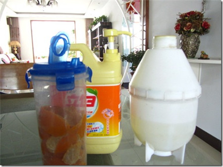 落地生根蚜虫物理处理方法：橘皮泡水