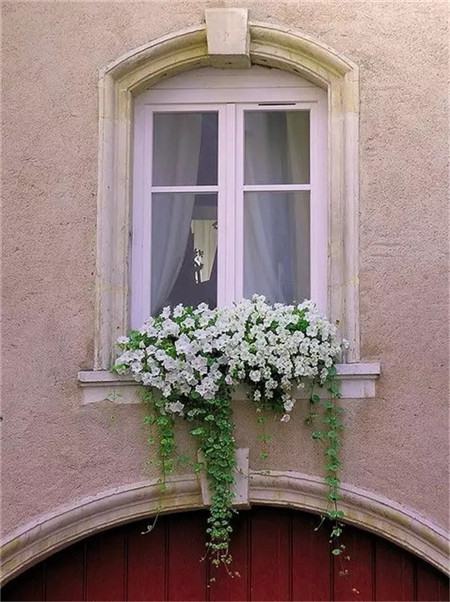 别人家的窗户都美成花园了