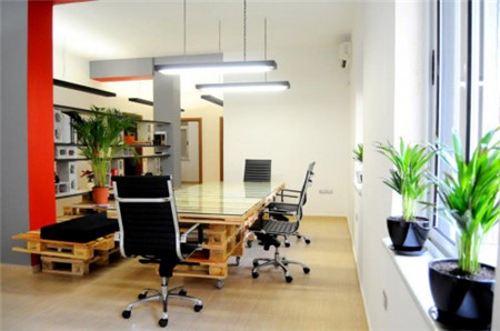 办公室绿植养护方法
