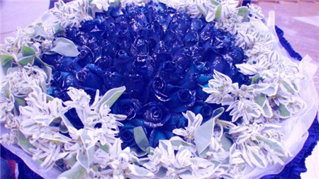 蓝色妖姬花束
