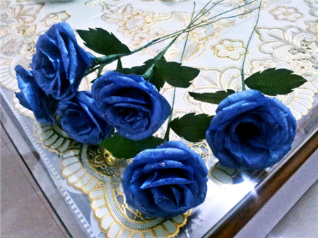蓝色妖姬花朵