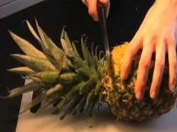用最简单的方法，自己动手种颗菠萝