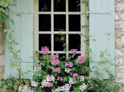 别人家的窗户都美成花园了