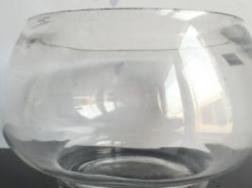 玻璃鱼缸可以养荷花吗