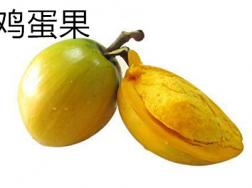 鸡蛋果和百香果的区别