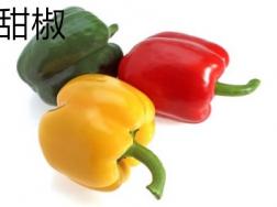 甜椒和青椒的区别