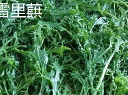 雪里蕻和苦菊怎么区分