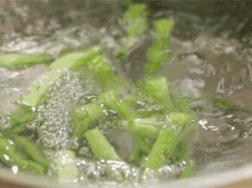 大娘养绿萝，7天一碗青菜水，稍不留神窜2米！