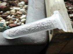 养花小白药是什么药