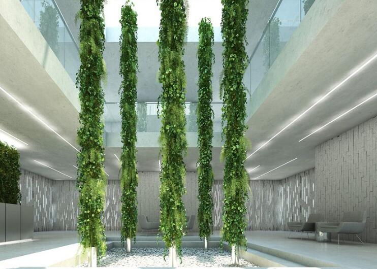 绿萝盆景的制作方法，柱式和垂式、瀑布式两种任你选