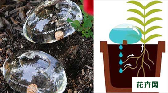 透明石头浇水器：Water From A Stone 花草树木网发表于2013年12月05日17:12:16 | 养花草