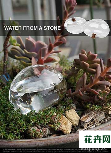 透明石头浇水器：Water From A Stone 花草树木网发表于2013年12月05日17:12:16 | 养花草