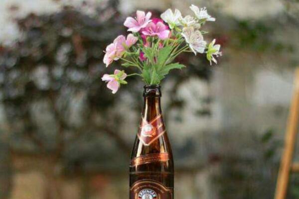 啤酒适合浇什么花