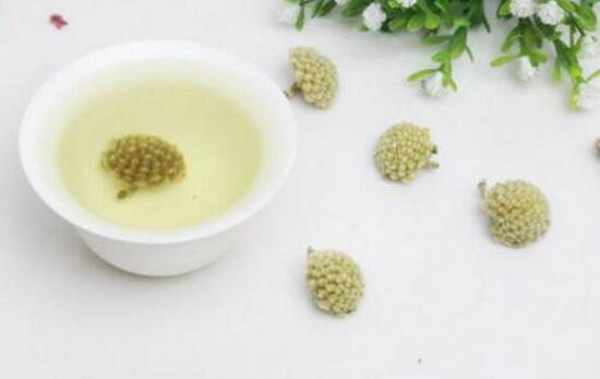 绿萝花茶可以长期喝吗，绿萝花茶的功效和作用