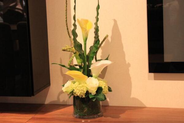 马蹄莲插花瓶能养多久，养护得当可保存半个月以上
