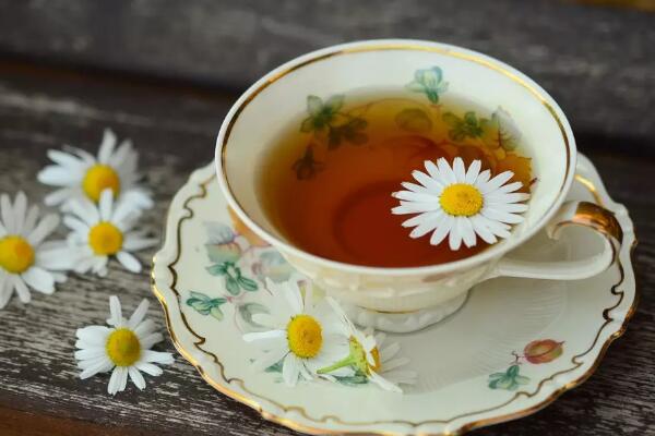 菊花茶什么季节喝，最适合在夏秋两季饮用