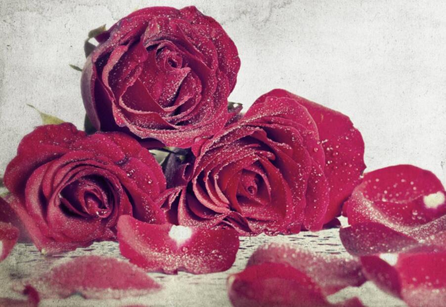 送玫瑰花朵数的含义，999朵天长地久的爱