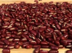 红小豆几月份播种