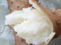 山药怎么水养