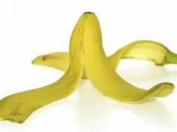 香蕉皮能做花肥吗，香蕉皮如何做花肥(图文)