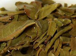 茶叶渣可以做花肥吗，如何将茶叶渣做成花肥(图文)