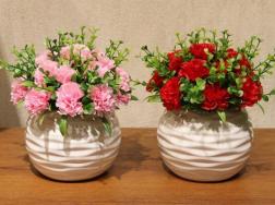 如何养康乃馨，康乃馨养殖5大要点