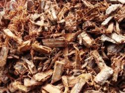 树皮发酵最简单的方法，详解松树皮与柳树皮发酵方法