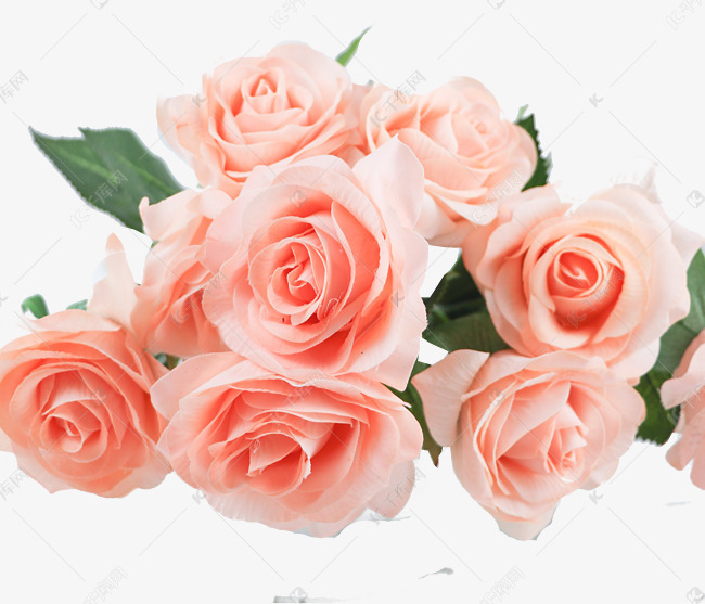 粉色玫瑰花语是什么，玫瑰花语大全
