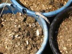 螃蟹壳可以做肥料吗