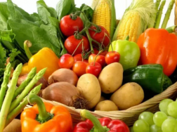 立春蔬菜怎么育苗定植，蔬菜养殖方法总结