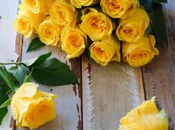 黄玫瑰的花语