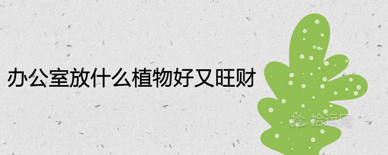 办公室放什么植物升官，办公室放什么植物好又旺财，招财挡煞的绿植