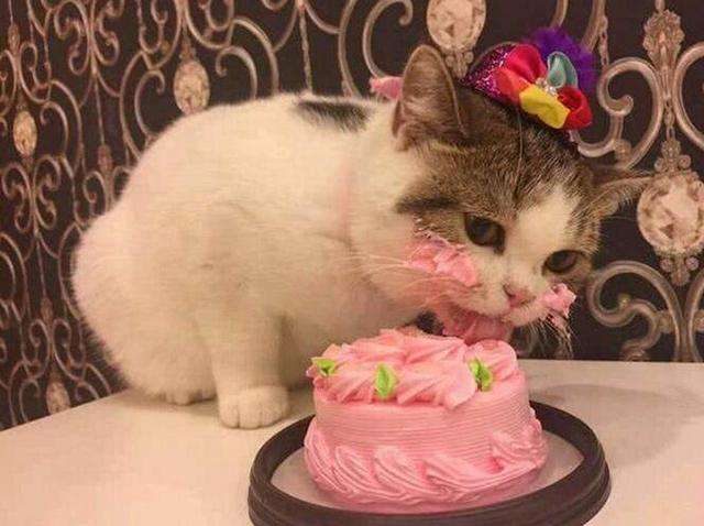 过生日要做些什么，过生日要注意些什
