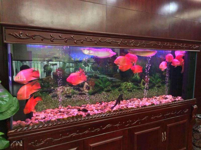 家中摆放什么招财辟邪增吉祥，家中摆