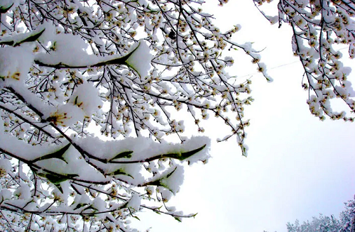 春天下雪好不好，春天下雪什么兆头，春天下雪什么兆头风水