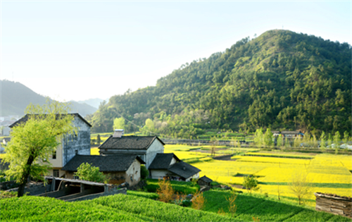 农村房子风水学基本常识，农村房屋风水好不好要看哪些地方，农村房子怎么看风水好不好