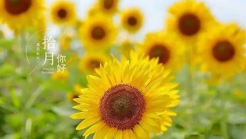 2023年10月召开的全国宣传思想文化