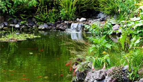 风水 鱼池，风水鱼池在什么位置好，鱼池在什方位风水好